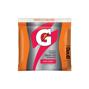 Gatorade FROST thirst quencher powder fruit punch (595g)