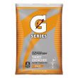 Gatorade FROST thirst quencher powder orange (595g)