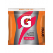 Gatorade FROST thirst quencher powder fruit punch (595g)